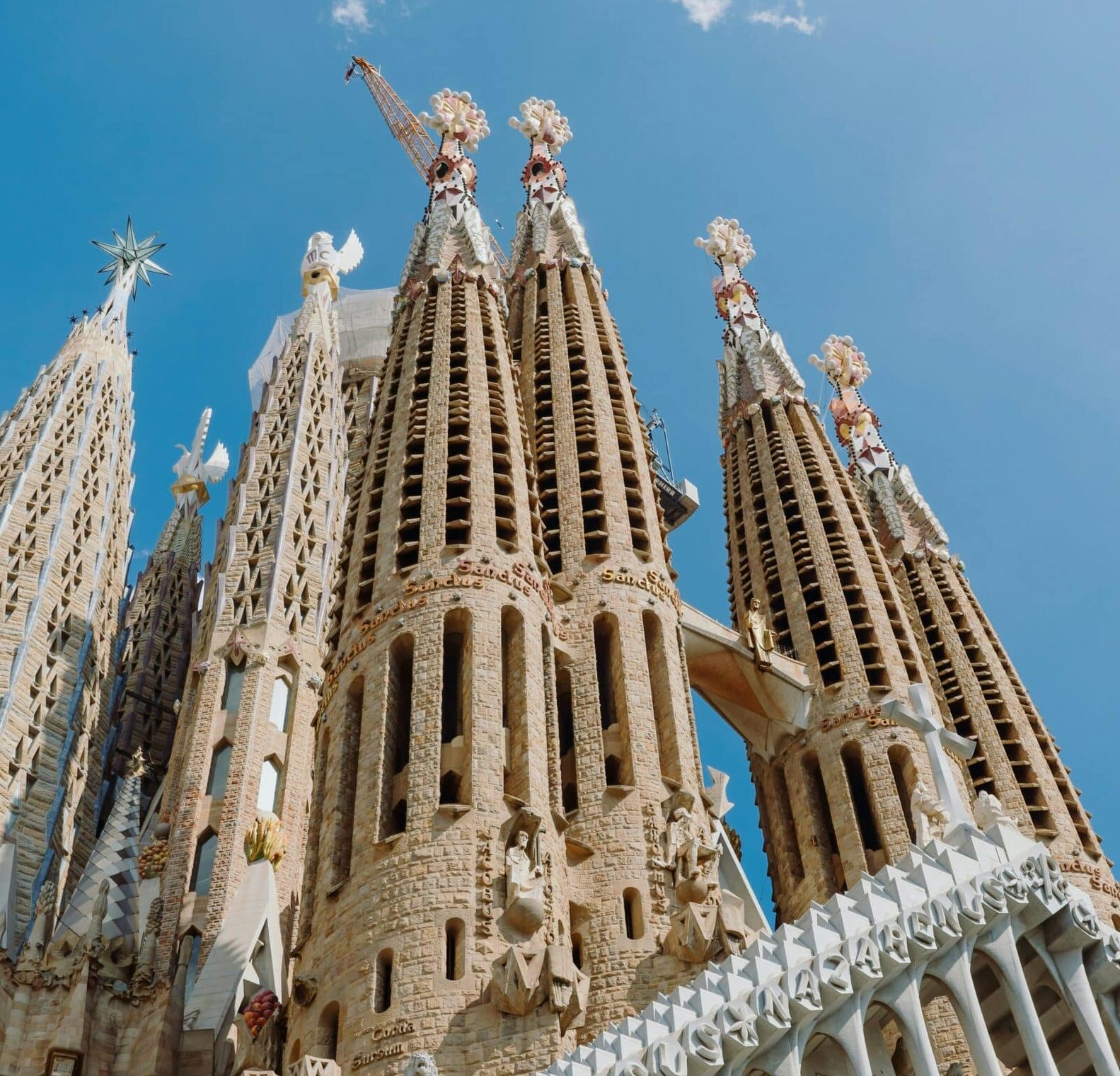 Explora la maravilla de Barcelona y Gaudí con un guía especializado en recorridos memorables. Tours guiados por la magia de Barca y Gaudí